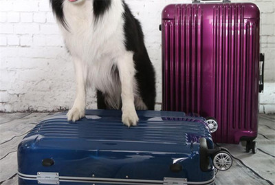 辰豐箱包皮具加盟連鎖火爆招商中